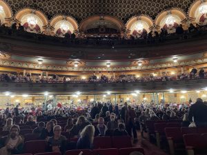 The audience at the State Theatre during the Sydney Film Festival
